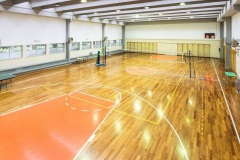 palestra