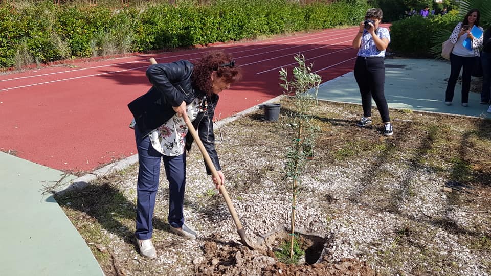 Piantumazione albero di Ulivo