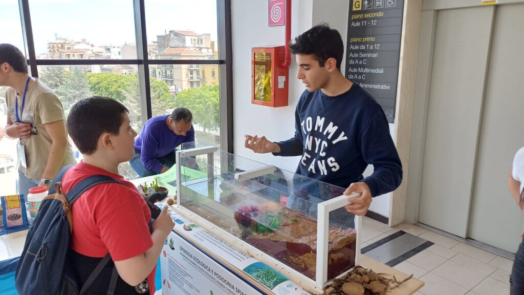 università, palermo scienza