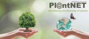 La biodiversità dell’ambiente naturale siciliano con Pl@ntNET