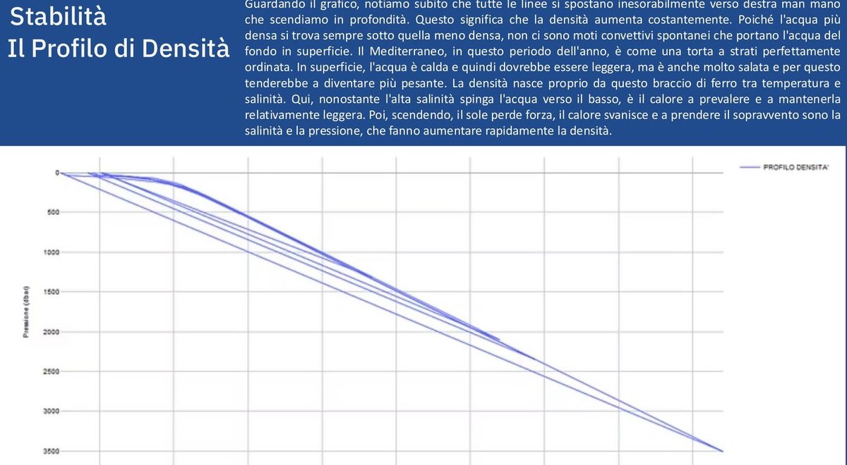 Profili di densità delle cinque stazioni: le curve partono distanti in superficie e convergono in profondità